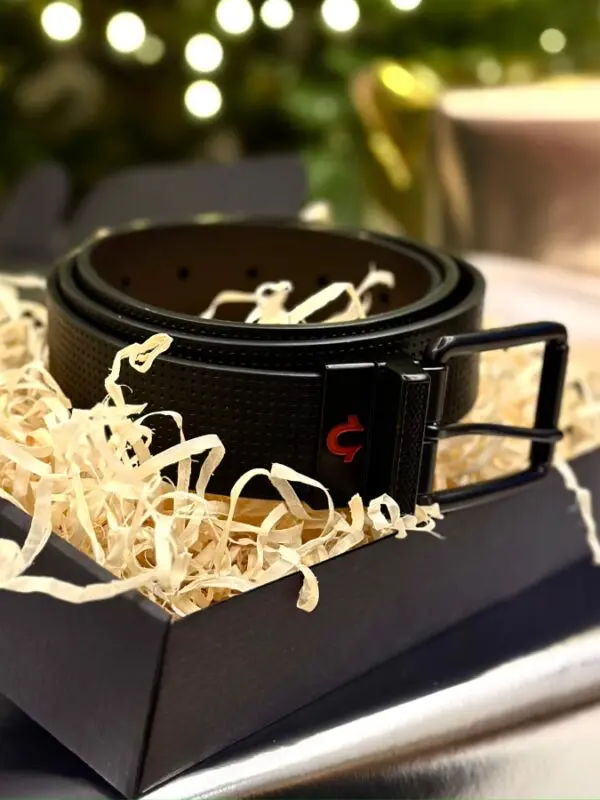 Originalus vyriškas True Religion diržas