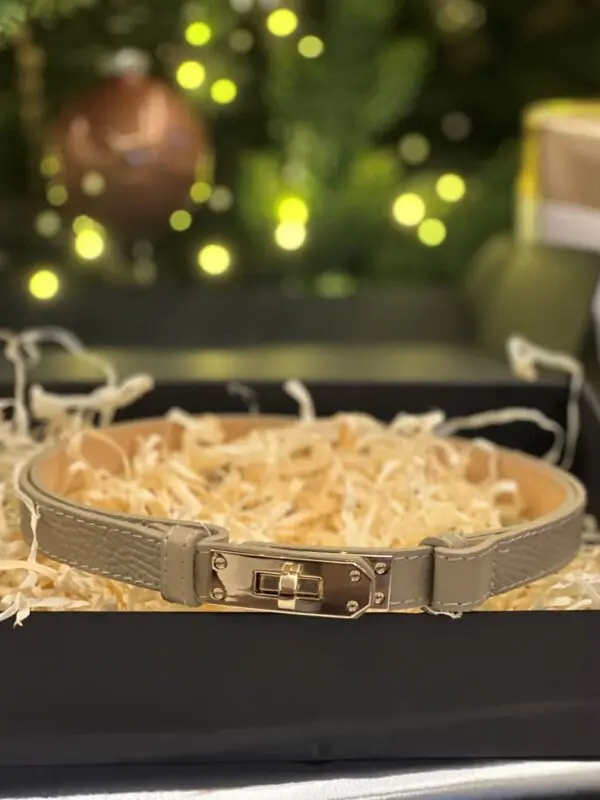 Reguliuojamo dydžio diržas su auksine sagtimi